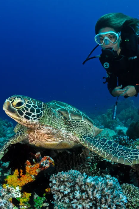 Vinci-nasseau-plongee-sousmarine